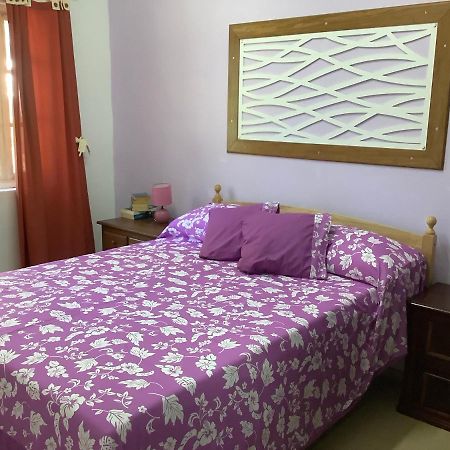 Bora Red Hibiscus Lodge Μπόρα Μπόρα Εξωτερικό φωτογραφία