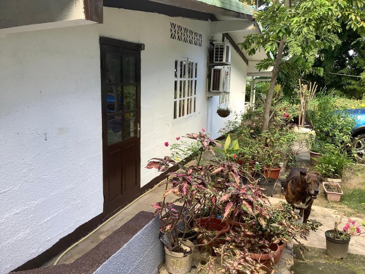 Bora Red Hibiscus Lodge Μπόρα Μπόρα Εξωτερικό φωτογραφία