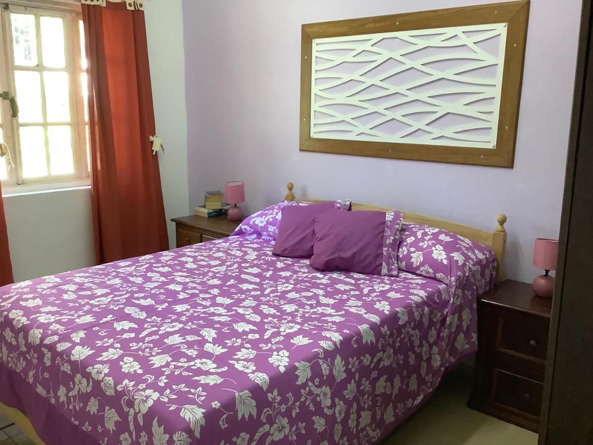 Bora Red Hibiscus Lodge Μπόρα Μπόρα Εξωτερικό φωτογραφία